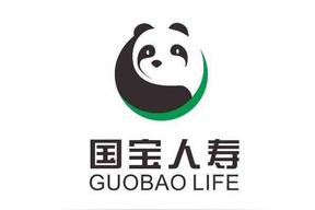 国宝人寿保险